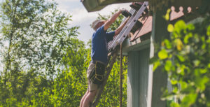 Regular Exercise Can Reduce Your Risk of Falls