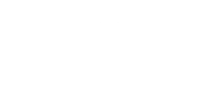 Lively Physio logo in white